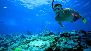 Hombre practicando Snorkel en el hotel isla mucura