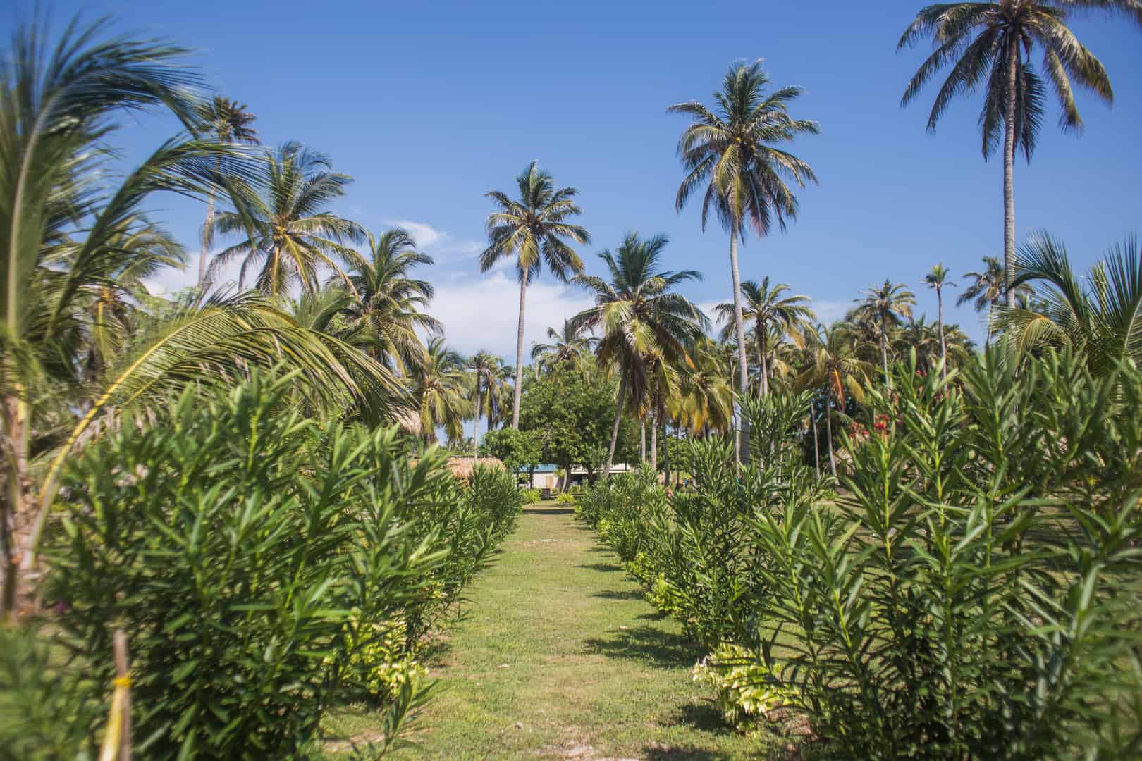 caminatas en isla mucura