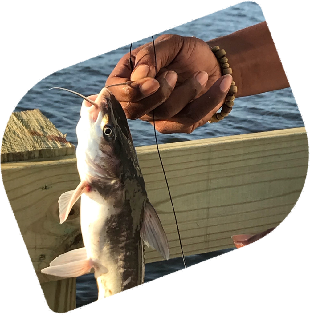 Pesca artesanal