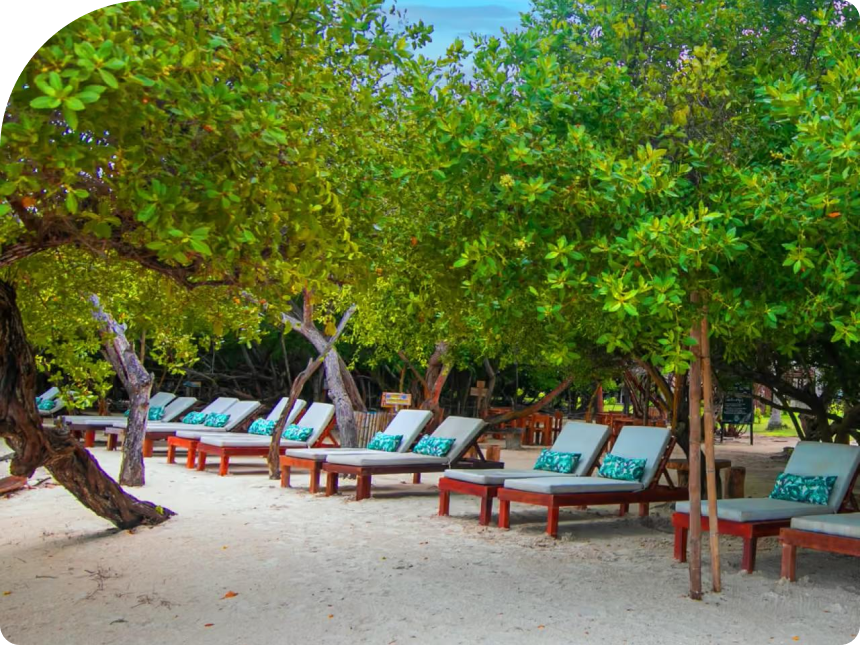 The hotel's private beach