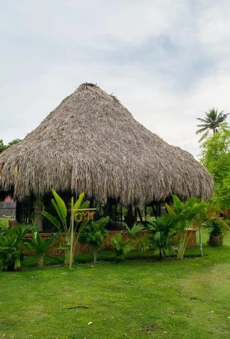 Palapa del gimnasio rodeada de jardín