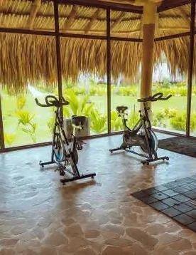Bicicletas estáticas junto a los muros de vidrio