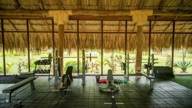 Estaciones de fuerza del gimnasio frente al jardín