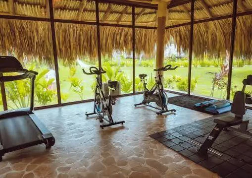 Caminadora y bicicletas frente a los ventanales del gimnasio