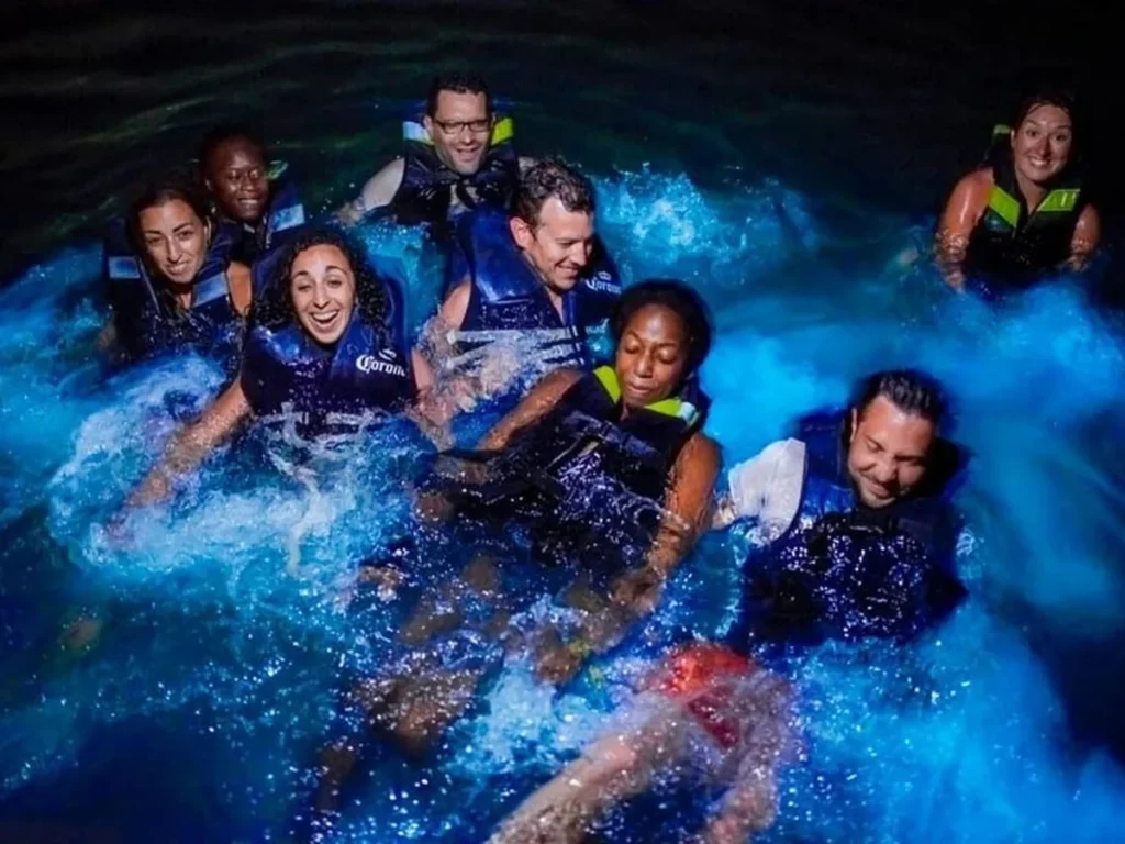Bioluminescent Plankton Tour